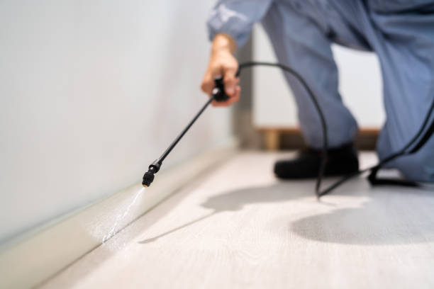 Licensed Fumigation Services service in Leesburg, VA - Nex Pest Control