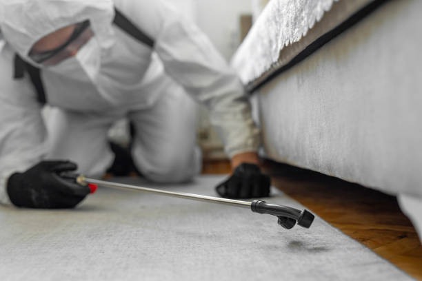 Professional Fumigation Services technician working in Leesburg, VA