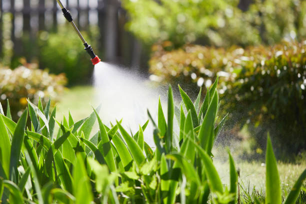 24/7 Emergency Fumigation Services experts in Leesburg, VA